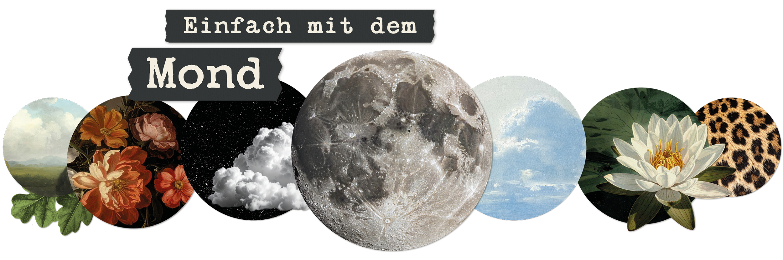 Einfach mit dem Mond